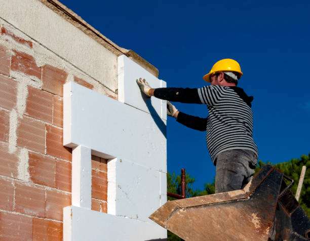 Best Geographic-Specific Insulation Services in Janesville, WI