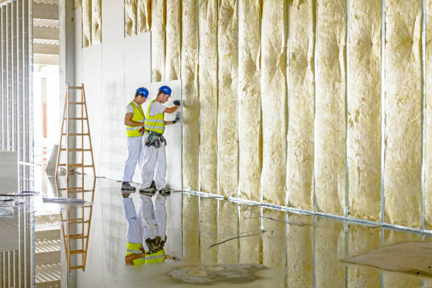 Best Commercial Insulation in Janesville, WI